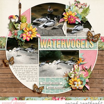 Watervogels