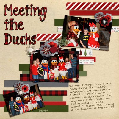 Meeting the Ducks