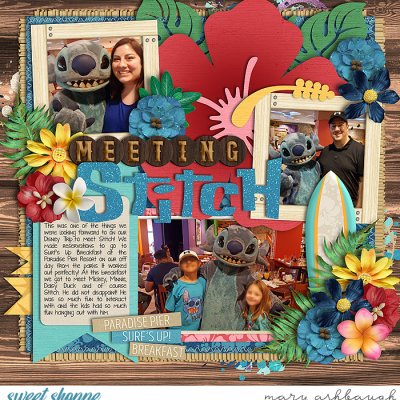 Meeting Stitch