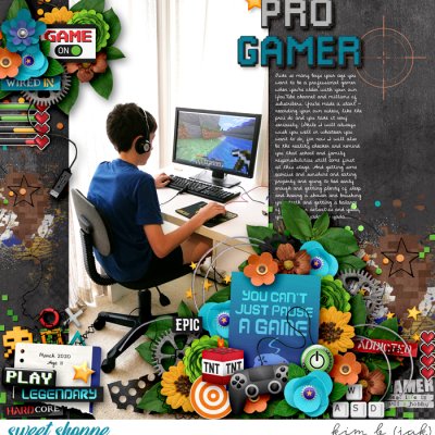 Pro Gamer