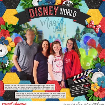 Disney World Magic