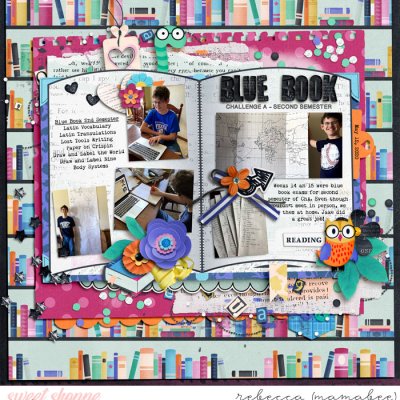 Blue Book Exams