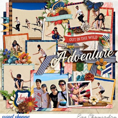 wild adventure