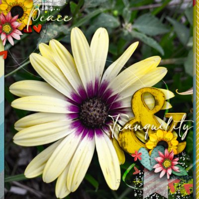 Peace_Tranquility