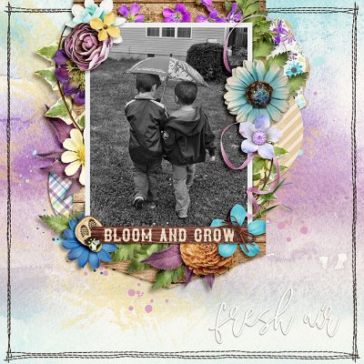 Bloom and Grow