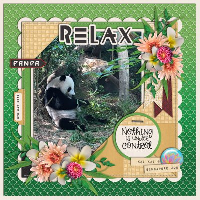 Panda