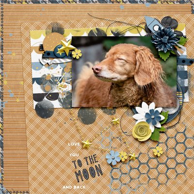 To The Moon