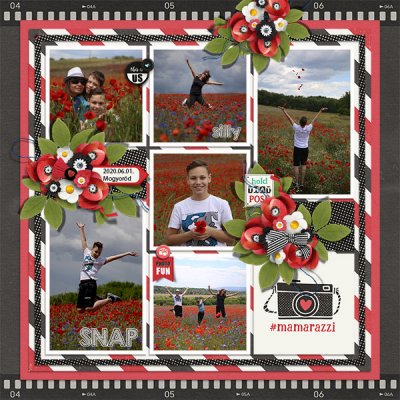 Poppys