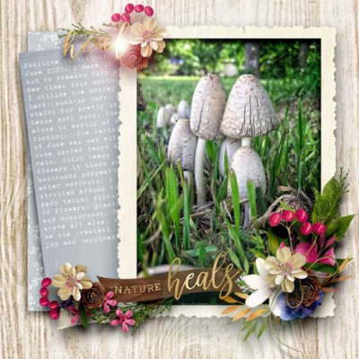 NatureHeals1