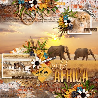 wild Africa