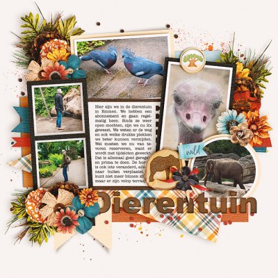 Dierentuin