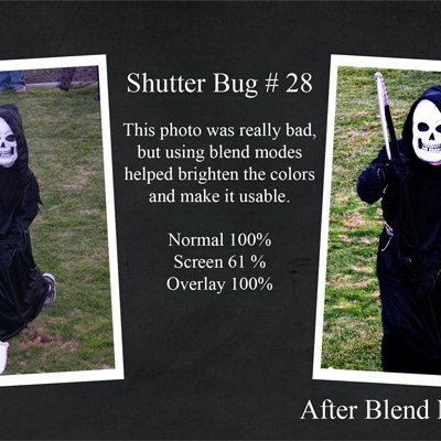 Shutter Bug Shakedown #28