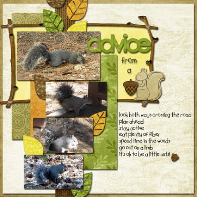 ~Advice From A Squirrel~  COokie #48