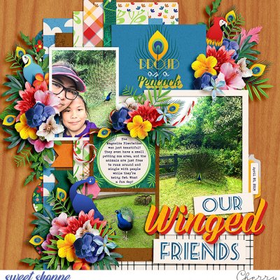 Our Winged Friends