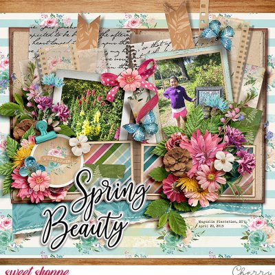 Spring Beauty