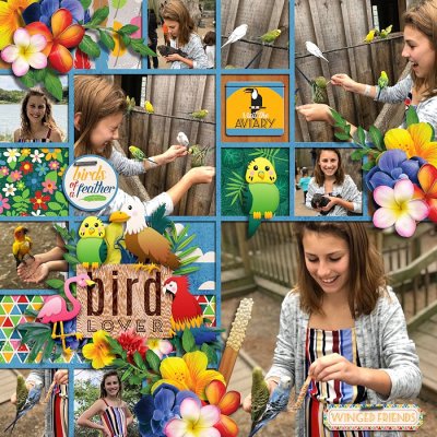 Bird Lover