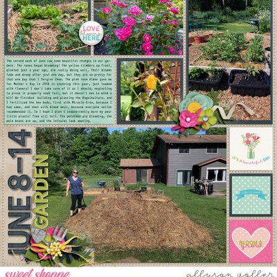 Garden News June week 2