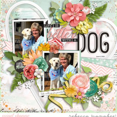 life is better with a dog