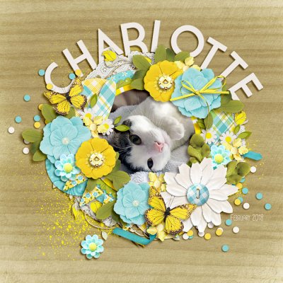charlotte