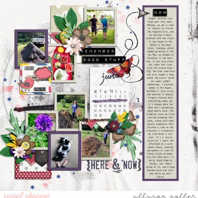 2020 PL 23 week 01