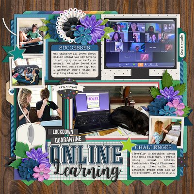 Online Learning