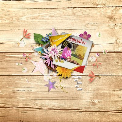 tnp-lgrieveson-scrapstackNo4-TRACY