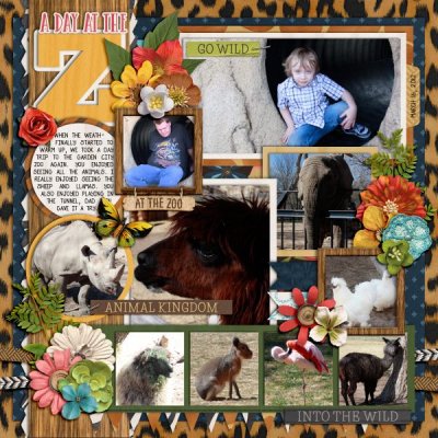 A Day At The Zoo