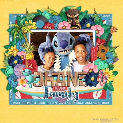 Ohana's- Your Vibe Attracts Your Tribe