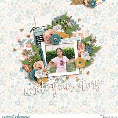 Write Your Story