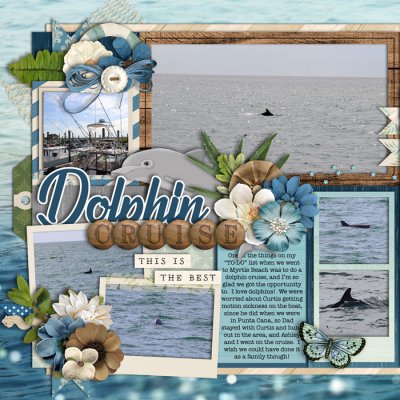 Dolphin Cruise (left side)