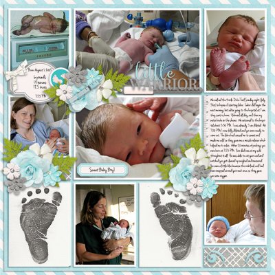 Ty_Born700_Tinci_JulD2_2