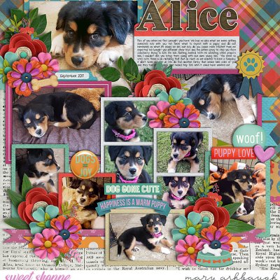 Alice