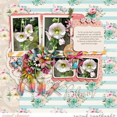 Bloom