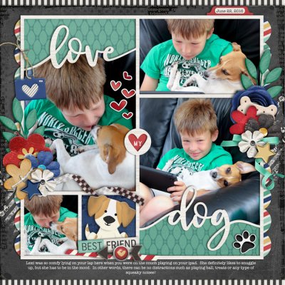 Love My Dog