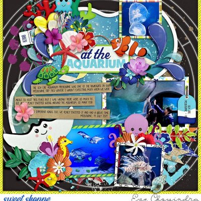 at the aquarium