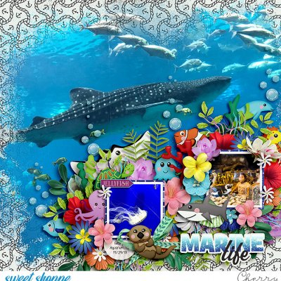 Marine Life