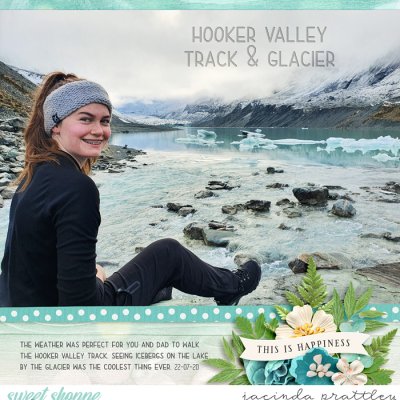 Hooker Valley Glacier