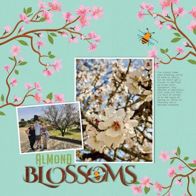 ~Almond Blossoms~