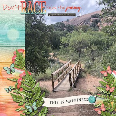 Don't RACE enjoy the journey