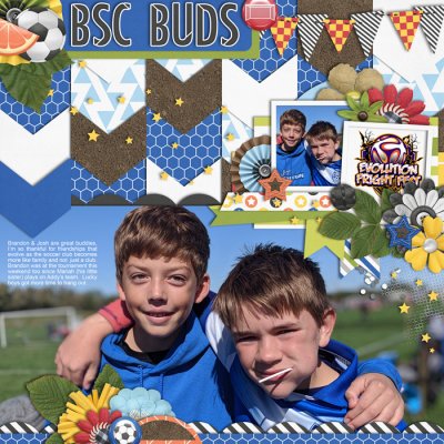 BSC Buds