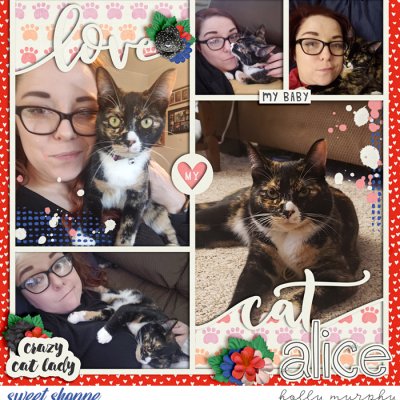 Crazy Cat Lady