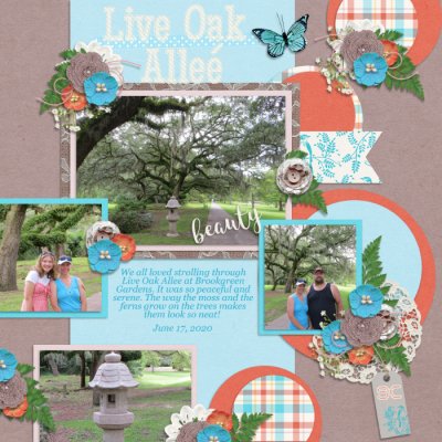 Live Oak Allee