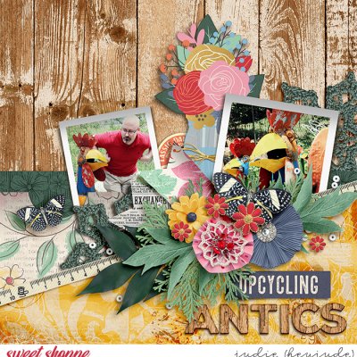 Upcycling Antics