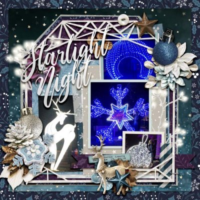 Starlight Night