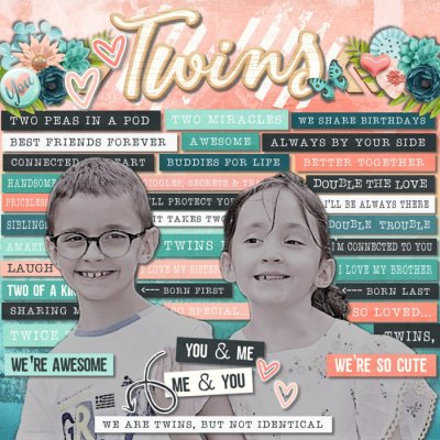 Twins Story