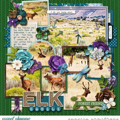 Elk Family