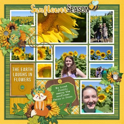 Sunflower Season