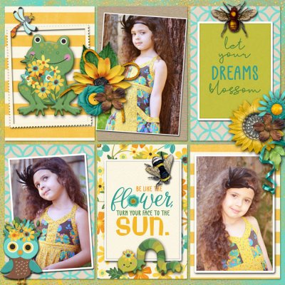 Dreams Blossom