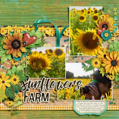 Sunflower Farm - Currently Challenge