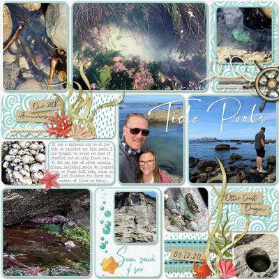 Tide Pools